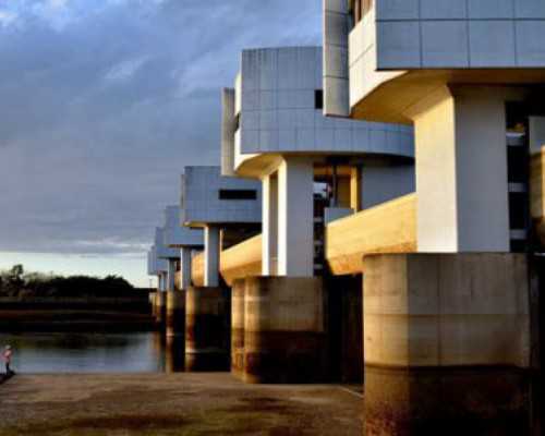 新西兰创业移民失败【移民新西兰中国驾照如何转换新西兰驾照？】