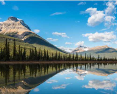 新西兰留学移民 父母{新西兰移民增长趋势不变：房价上涨奥克兰人口膨胀}