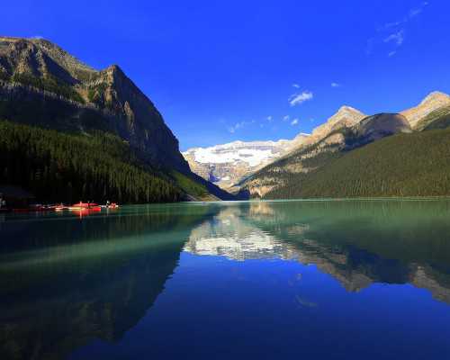 在澳新西兰移民局电话【新西兰移民择校须知，新西兰NCEA证书和国际课程设置