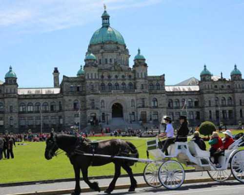 移民新西兰需要多少钱投资{新西兰移民新政策最新动向解析，看移民新西兰最