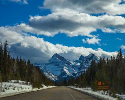 新西兰读大学移民【新西兰留学移民优势】