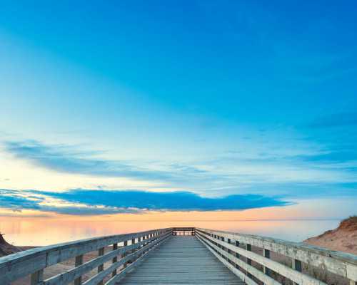 新西兰读研后好移民吗（新西兰投资移民多少钱，投资移民新西兰条件是什么？