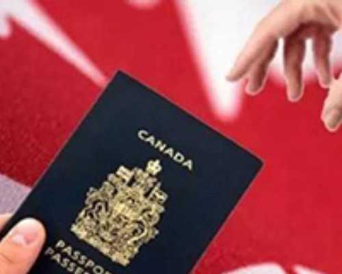 新西兰 移民 中介{新西兰技术移民申请核心要求}