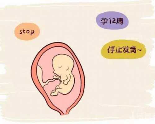 温州捐卵供卵公司 温州有私立试管婴儿医院吗? ‘胎儿bpd怎么看男女’
