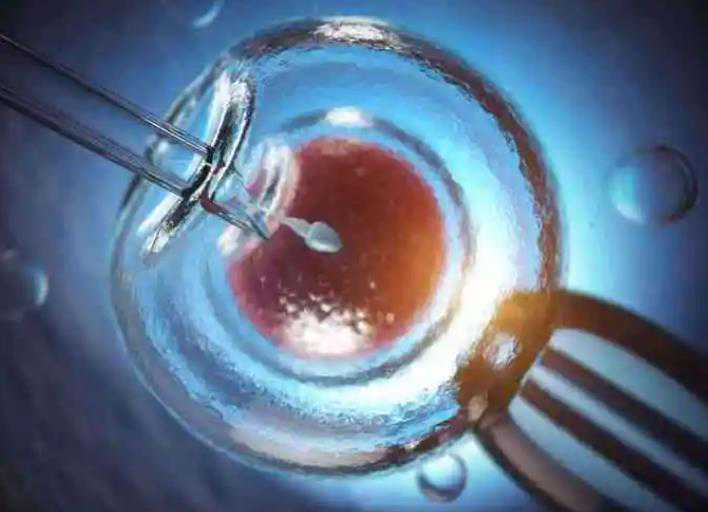 武汉助孕医院哪家靠谱 影响武汉试管婴儿费用的因素： ‘通过孕囊形状看男女