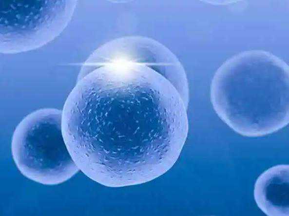 重庆找男人助孕 2024重庆西南医院试管婴儿费用明细 ‘三维能看男女吗’