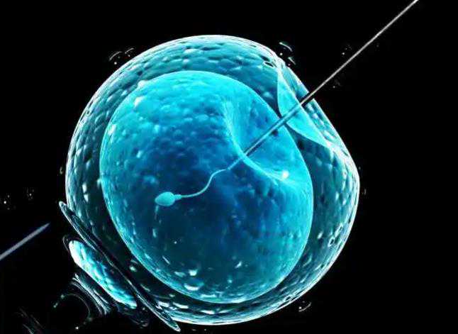 武汉49岁试管代生 2024在武汉大学人民医院做试管婴儿移植两个胚胎成功率高吗