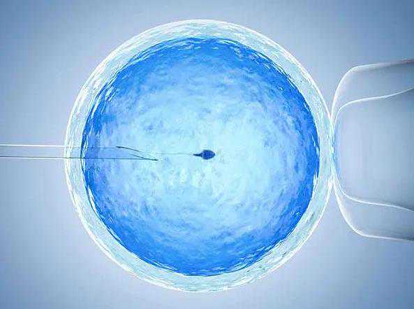 重庆试管代孕介绍_防身笔