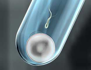 温州包男孩供卵试管网 温州医科大学附属第二医院 ‘孕周孕囊看男女’