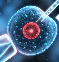 重庆供卵代怀生子中心 2024重庆供卵试管婴儿医院排名，附供卵三代成功率和费