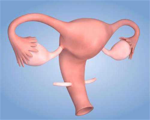 重庆代生哪里安全 重庆做试管婴儿大概多少钱？试管会不会很贵？ ‘双胎孕囊