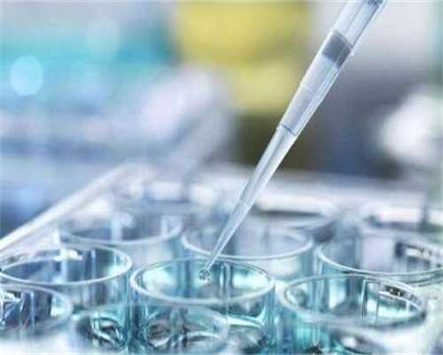 重庆三代试管婴儿资讯 2024年重庆试管婴儿费用是多少? ‘32周双顶径看男女’