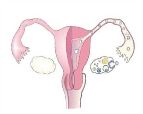 重庆代生孩子地下机构 重庆七星岗妇幼保健院试管婴儿价格多少? ‘肚型看男女