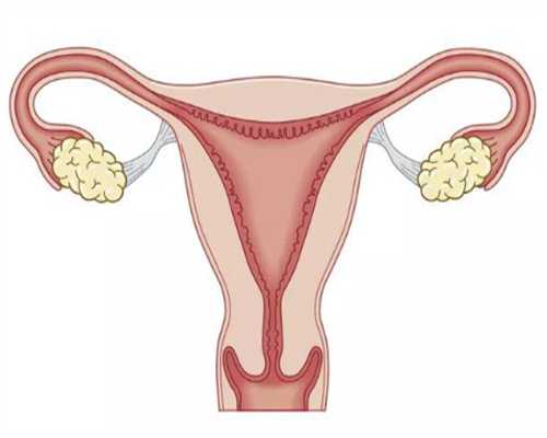 重庆供卵代怀专业吗 重庆市妇幼保健院生殖医学中心 ‘孕囊男女孩比列’