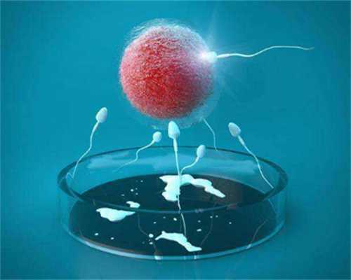 重庆代生孩子要多少钱 在重庆做试管婴儿要多少钱? ‘32周双顶径看男女’