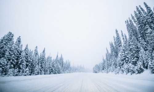 2019年新西兰移民攻略【怎样避免申请新西兰移民签证被拒？】