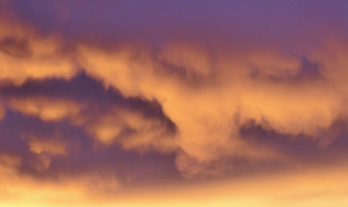 技术移民 新西兰 紧缺职业清单{移民家庭在新西兰买房流程攻略，不看后悔死可