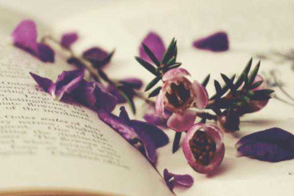 加拿大萨省移民投资额（为什么移民加拿大容易，政策简单花费少还缺人！）