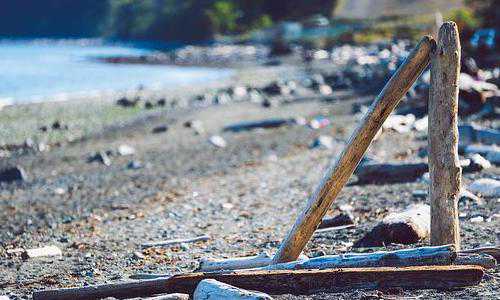 姐姐要移民澳洲我要体检吗{澳洲留学误区大盘点}