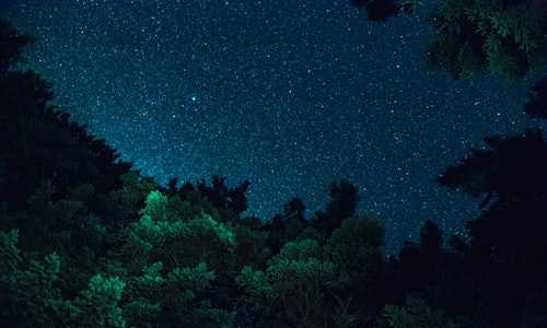 美国新移民银行卡【美国2022年4月移民排期公布，亲属团聚移民继续停滞不前】