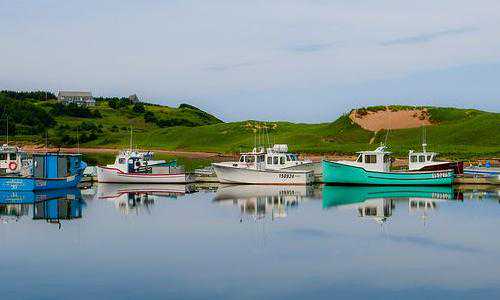 犯罪的人都移民加拿大【细数加拿大移民福利，哪个让你最心动？】