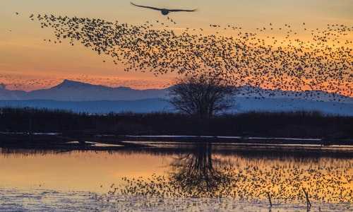 2017新西兰移民专业{2021年移民新西兰的条件有哪些？}