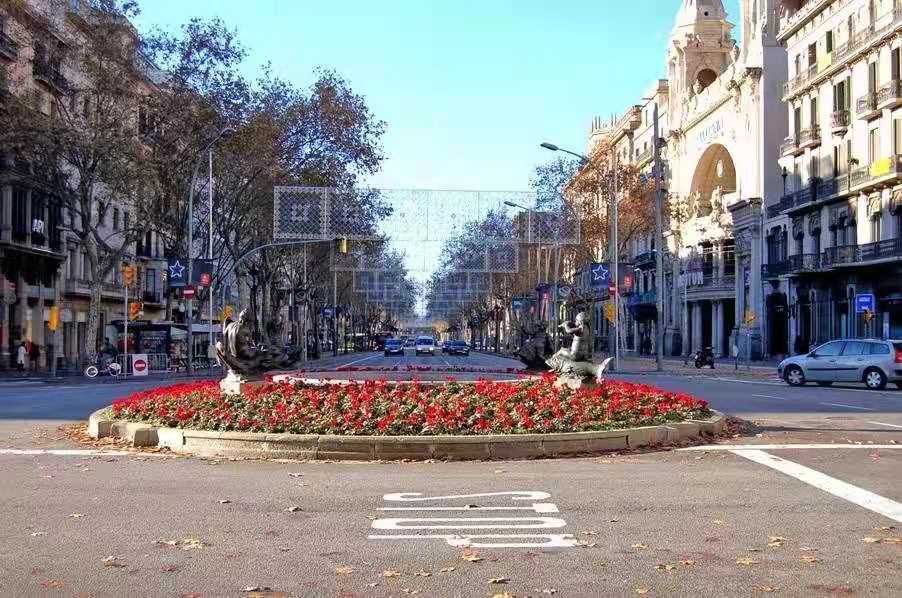 2020年新西兰移民政策【防止技术移民拒签，申请新西兰政策时需再三小心】