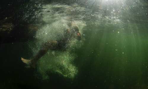 中文导游移民新西兰【2017移民新西兰哪些工作就业机会多并且吸金？】