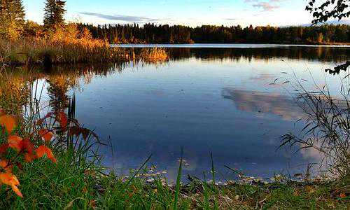 新西兰移民幼儿教育{新西兰父母退休移民签证申请条件和流程详解！}