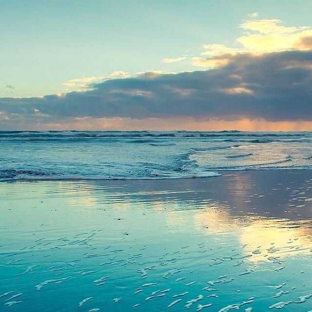 新西兰投资移民如何办理【新西兰投资移民-境内投资篇】