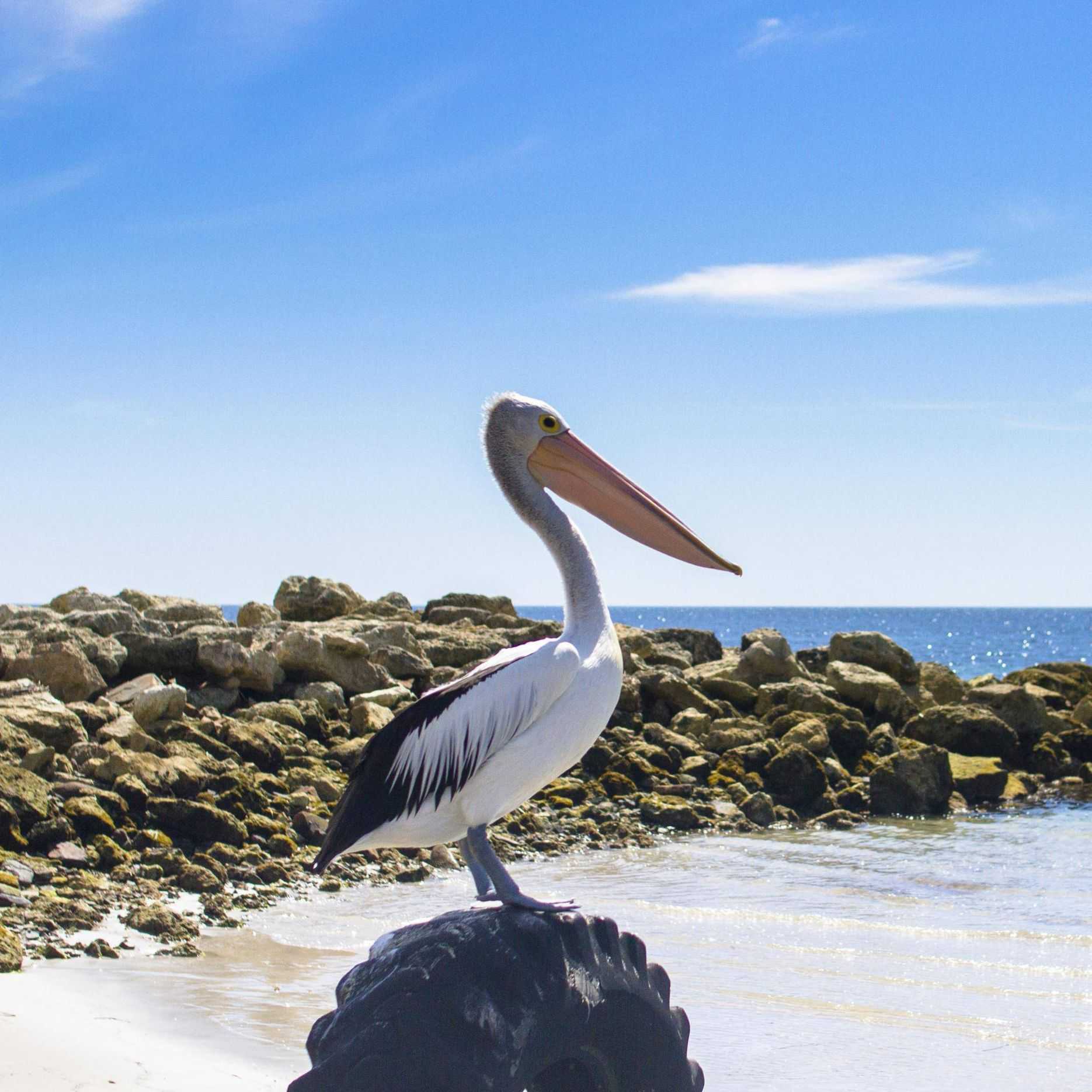 移民到欧洲要多少钱（葡萄牙荣获世界及欧洲最佳高尔夫胜地奖）