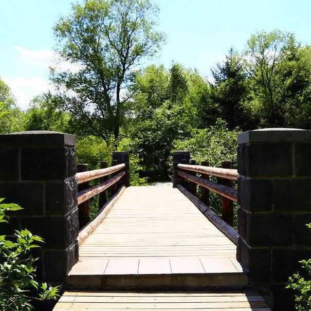 澳洲最好移民的专业（188a移民在澳洲可以做什么生意？）