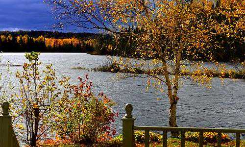 新西兰最简单移民方式（2021年移民新西兰的条件有哪些？）