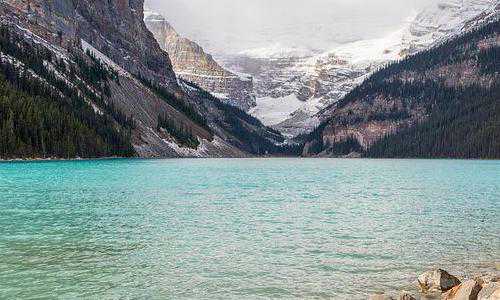 国外新西兰移民局邮箱【为了孩子移民新西兰生活绝对是一个正确的决定！】