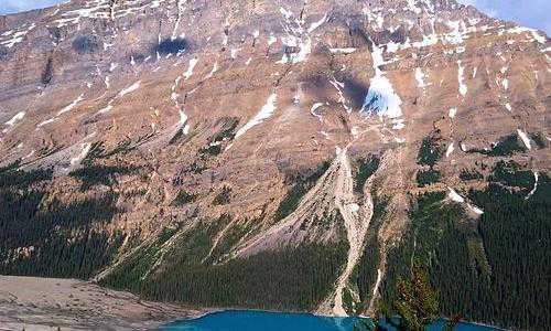 新西兰移民汇款方式【想去新西兰生活并不难，多种移民途径供你选择！】