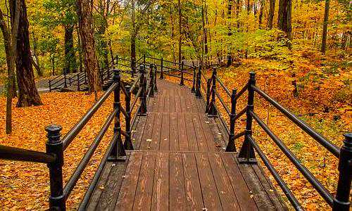 移民对新西兰的影响（新西兰移民如何适应新生活？）