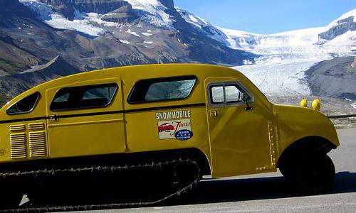 2019年7月美国移民申请表【细数美国教育的优势，总有一点能吸引你！】