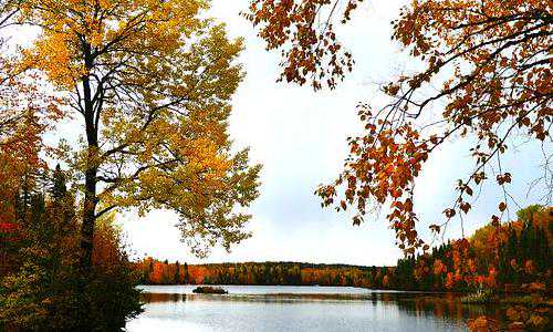 澳洲独立技术移民打分（高净值人群的首选移民国家，澳洲到底有哪些优点？）
