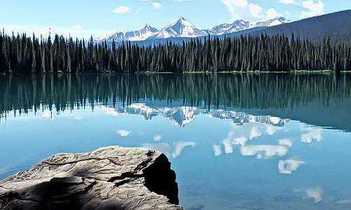 澳洲新移民 怎样申请租房补贴（移民澳洲需了解这些特别的小习惯和风俗）