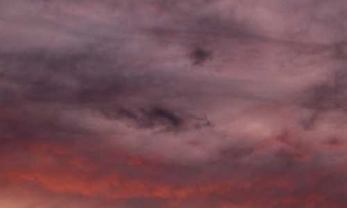 移民美国利与弊{美国职业移民申请要求}