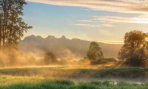 新西兰技术移民方式{你是否真的适合移民新西兰?}