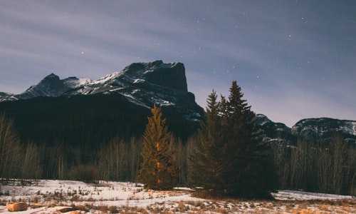 美国f4移民排期到去美国干啥呢【保加利亚护照免签美国吗，真实作用有哪些呢