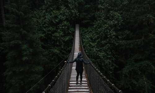 新西兰技术移民条件2019【移民途径大公开，想去新西兰的申请者都适合哪一种