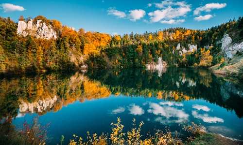 杰出人才移民新西兰【2023年新西兰移民政策会有哪些变化？】