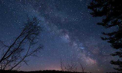 新西兰投资移民2类{新西兰技术移民审批新变化，部分符合条件申请者可优先获