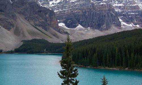 移民新西兰 sm（移民新西兰孩子能上的中小学都有哪些类型？）