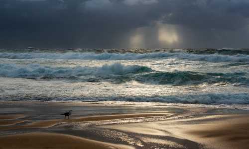 移民新西兰难吗【跟随女儿移民新西兰的张阿姨如何适应新西兰生活？】