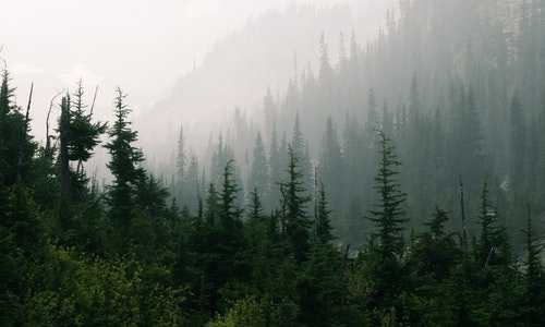 新西兰移民数据及政策{移民新西兰需要多少钱，新西兰移民费用标准最新一览