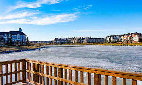 新西兰留学移民专业{新西兰适合移民吗，关键看你是否满足这3个条件}