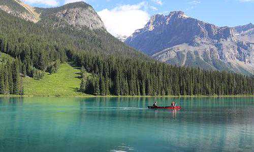 德国移民文章【移民德国，新移民就业指南了解一下】